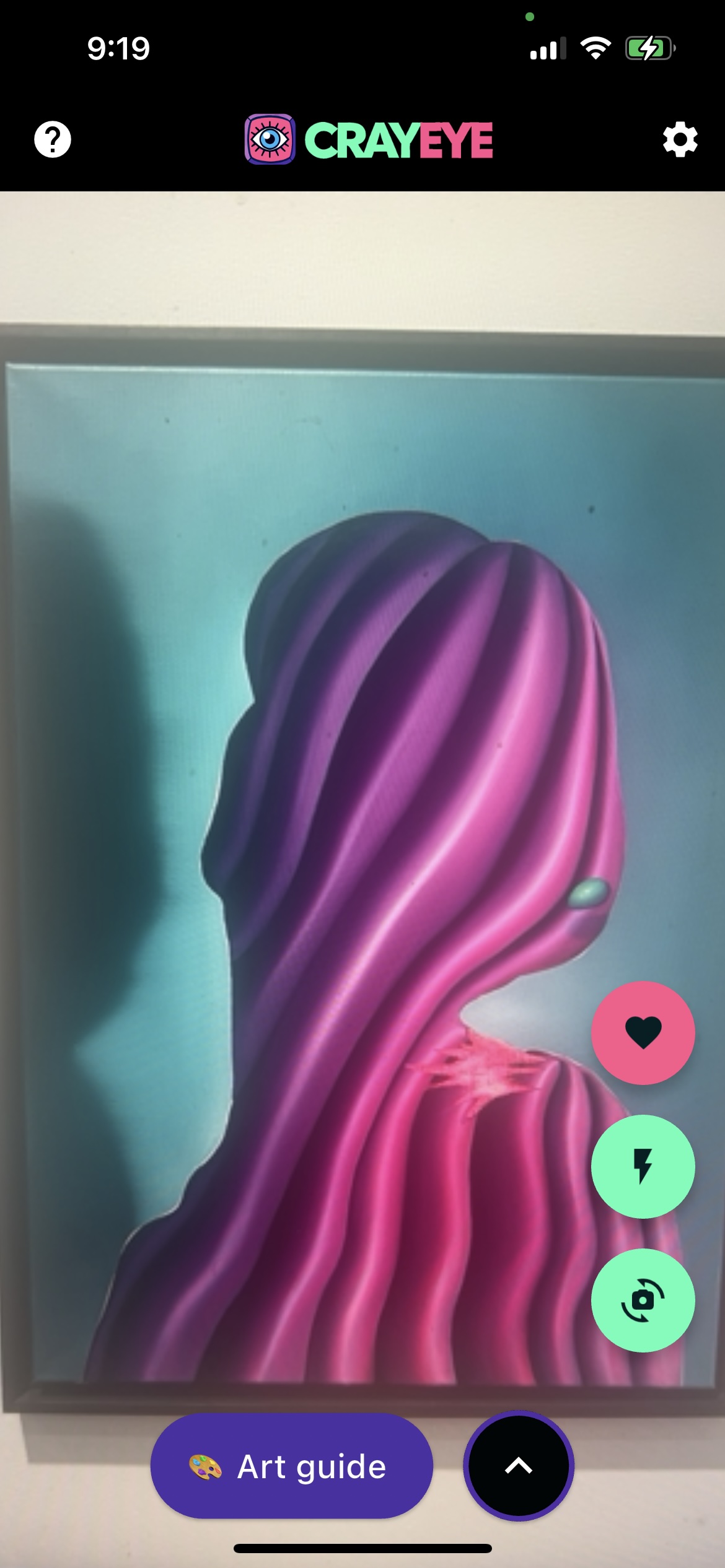 Screenshot of CrayEye app showing full screen camera preview of a bird on a city street with a button labeled '🐦 What kind of bird is this?'